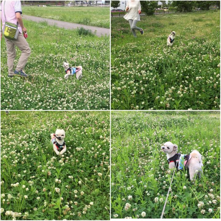 7320db39 5123 45e6 b3d5 b2d9923d7cdb 1525337710508