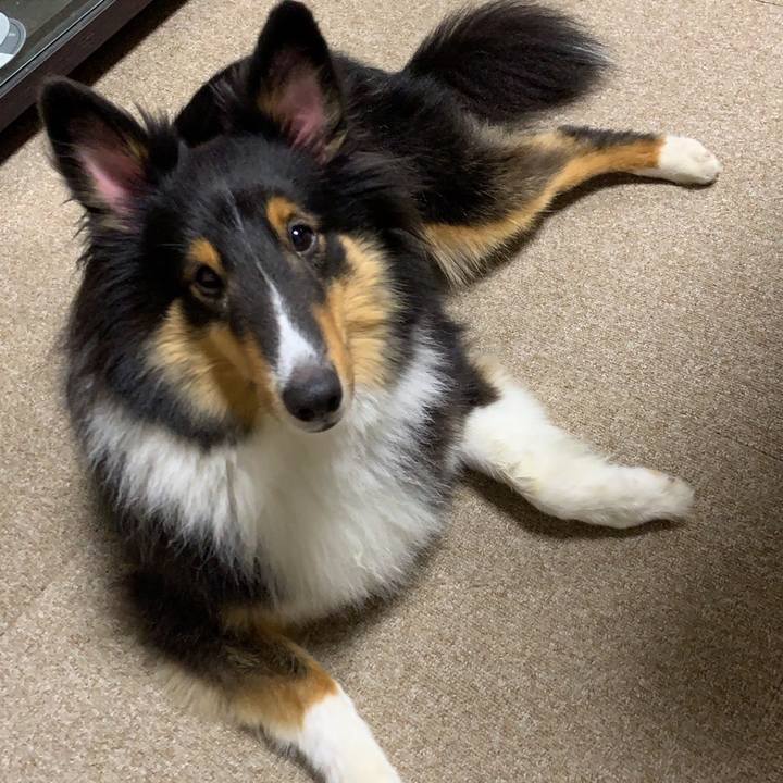 7320e5dc e800 4656 bc39 ca09ea974242 1566856573107