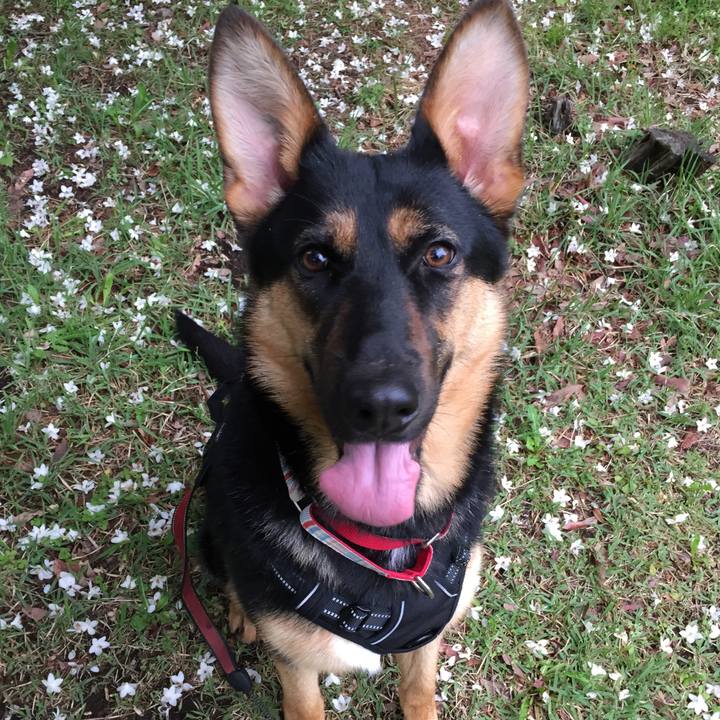 7320efbb e828 4bd1 8beb 5b2877ec15c8 1525770242655