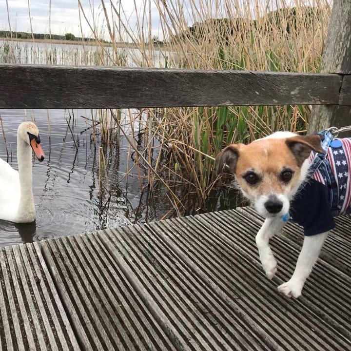 73213d1a f840 428a b851 73f5c2b5c897 1556778525049