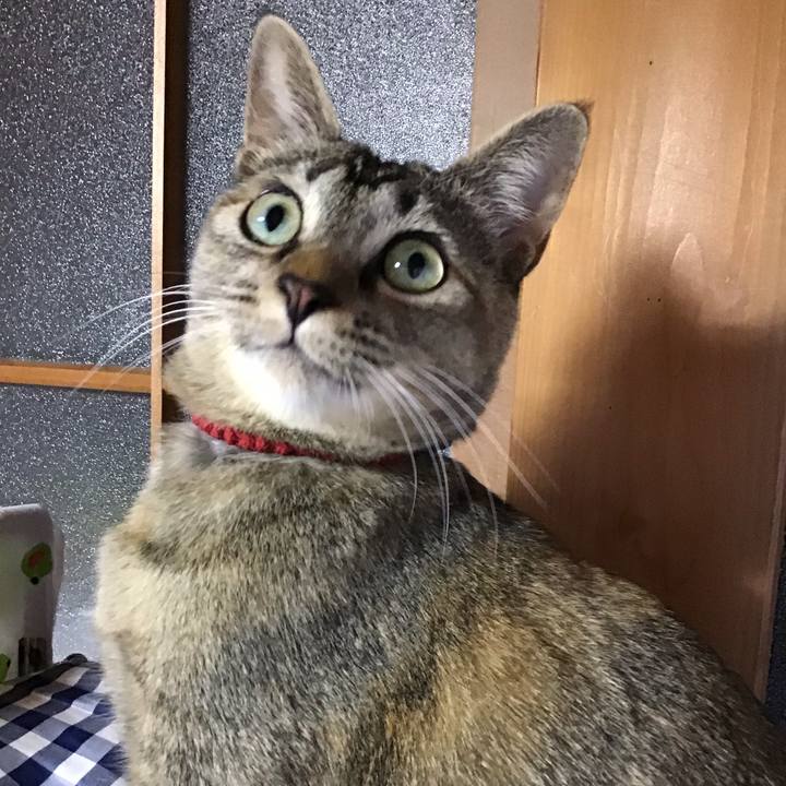 73215300 1014 4a21 a578 986bbc01f509 1583310893267