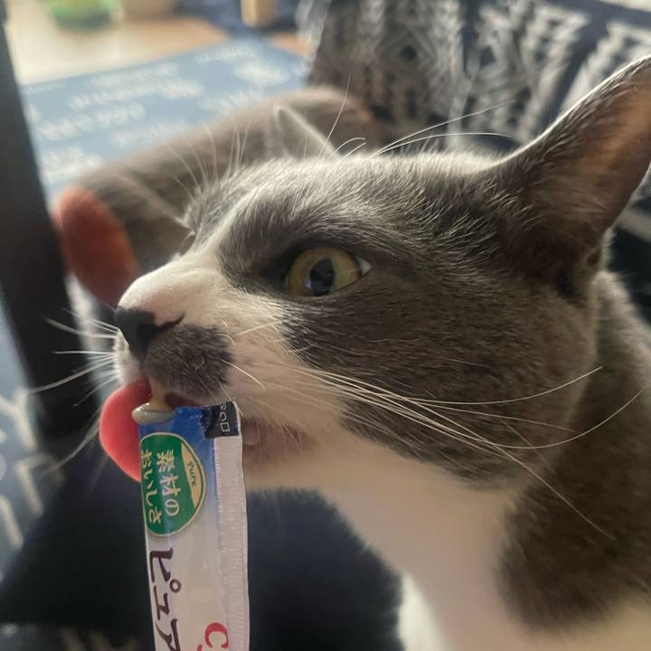 73217a97 3fe4 46a9 a7be b6cc45e6b815 1711870841375