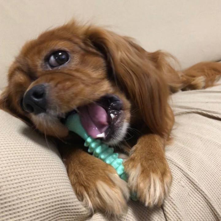 73218991 c424 4347 85a3 5a8dae4697d5 1564065361403