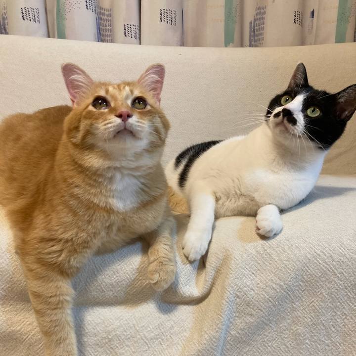 73219812 2755 46c1 91c6 ad9dd4617391 1757850158308