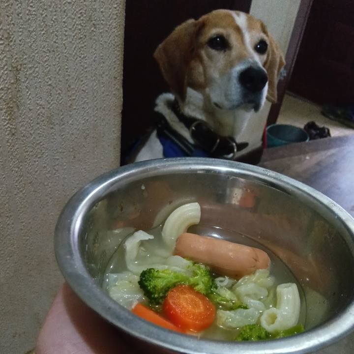 7321b205 09a9 42e8 9fd5 d9eff83668c5 1744102450043