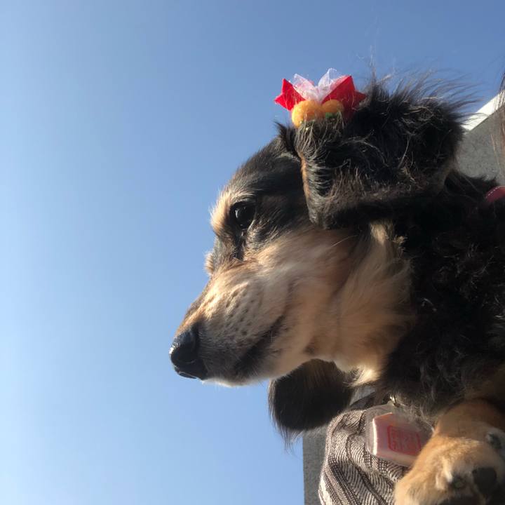 7321ca27 2821 457a 8d6c 3dba8a9567ca 1637452560501