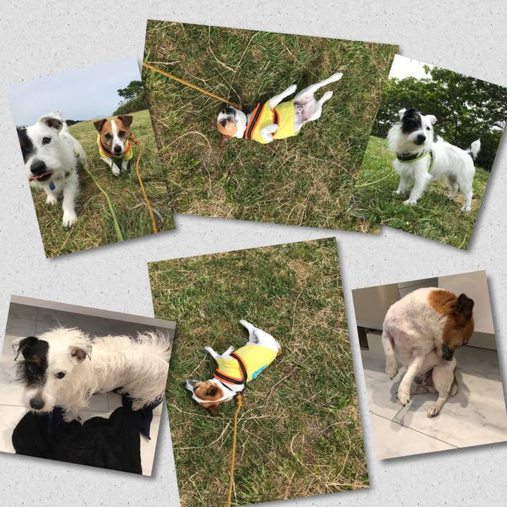 73220593 8e5c 4a32 aacc ce7c6ca20649 1526864276474