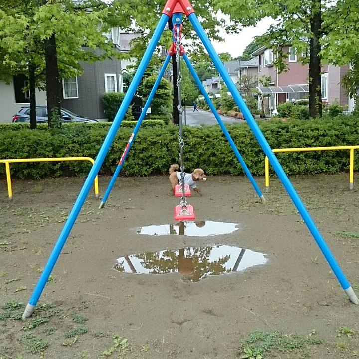 73221894 0a7c 4f33 943b 5371c4952fc2 1528762116818