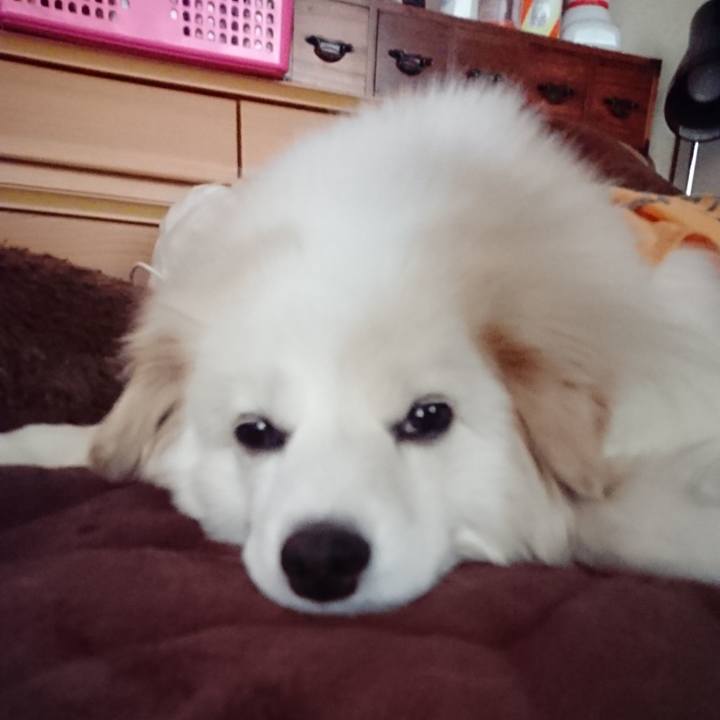 732257e0 a232 4cd4 8811 d2a43d89b4e0 1524776046163