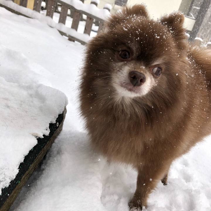 732288d3 ab5f 4bfa a35d 68e349621650 1608001452010