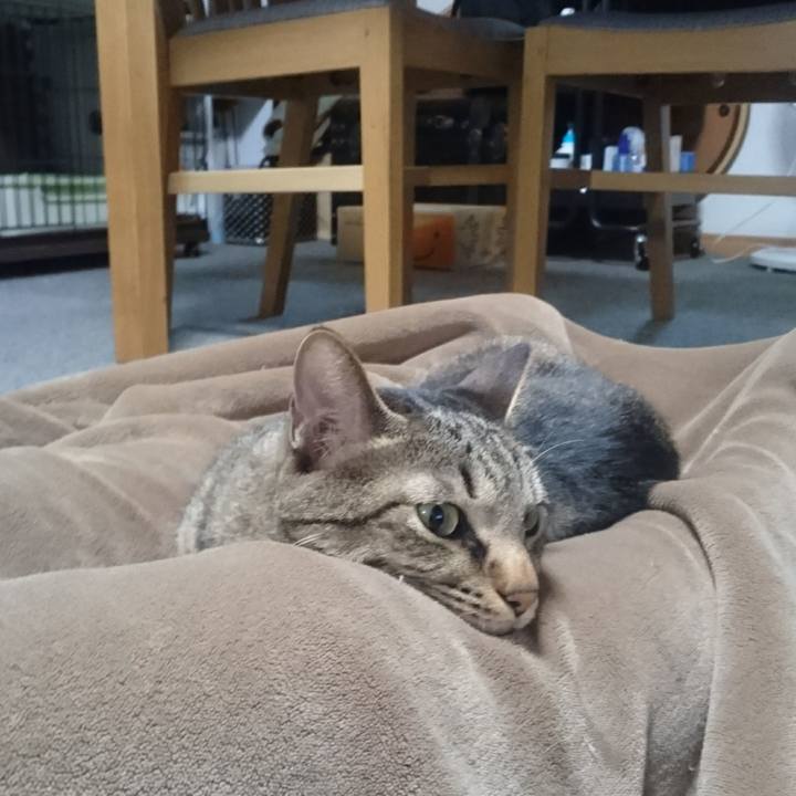 732294a0 787a 4fb4 8e6f 913bb5580b0f 1508415941550