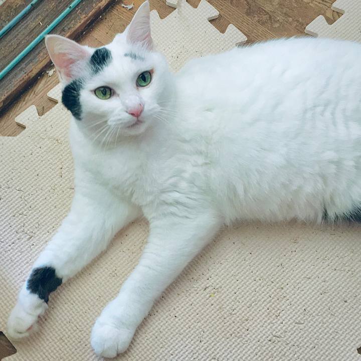 7322ac06 fc20 4ac4 a8cd 78cb95b8370e 1600933324584