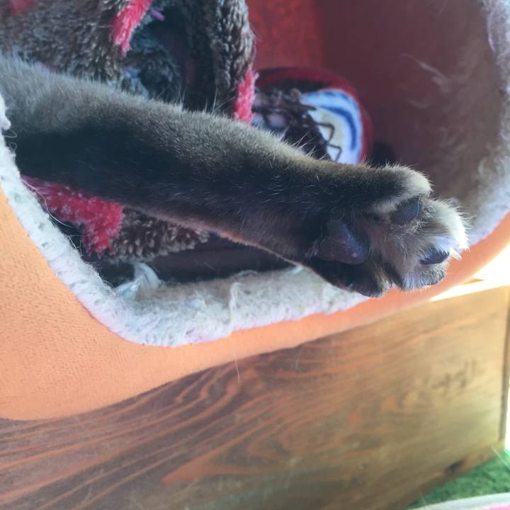 7322e696 6bbf 4f95 a0c8 06157f17f3c6 1580602393193