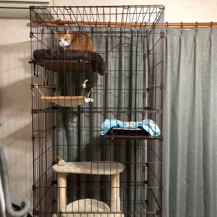 73231d98 df4f 418b a7da 953edb5911d0 1514898367840