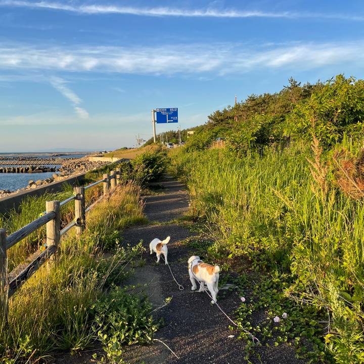 732359c0 fbe9 406d 8738 ce3259f64dbb 1687264801480