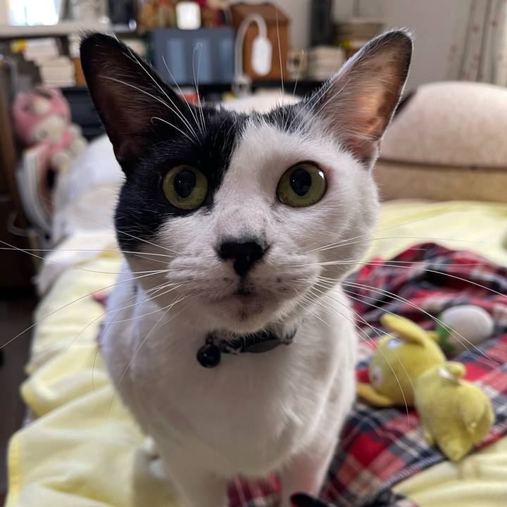 73235fec 6987 40d8 9a8c 0f132785193a 1762140515166