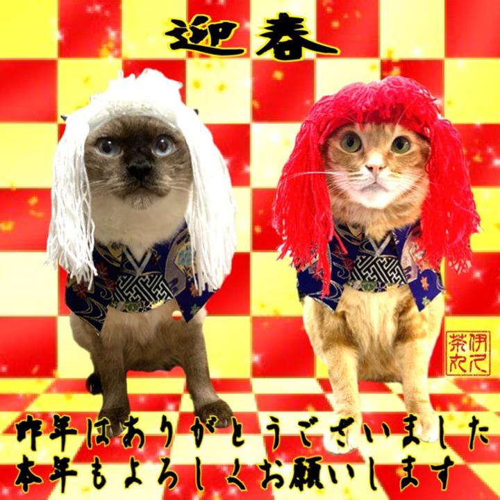 73236818 8219 4eb7 9ad4 5b0a77299a9d 1577833328748