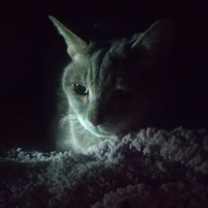 73236ed4 b1b7 47fb 84fc 2592830fad0c 1671245053530