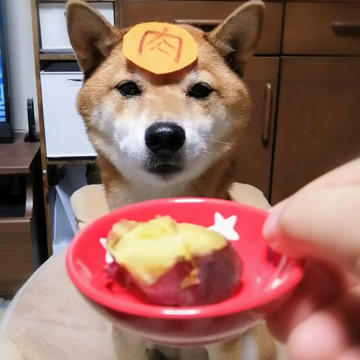 7323fff8 01ec 47ce bd00 b247135afd77 1601373630648