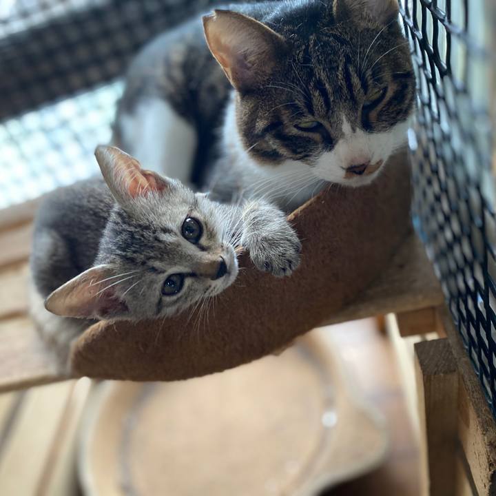 73240688 c7ed 435e 8c03 48b8450c02c7 1600390256454