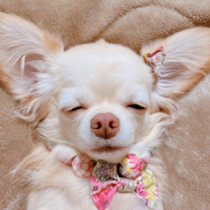 732419bb 52e9 4fe6 b11c 2838a1ee8b67 1668763510354