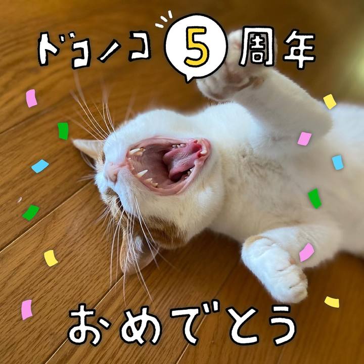 7324404c 400e 46ce bfab 57a1bd759918 1623335150497