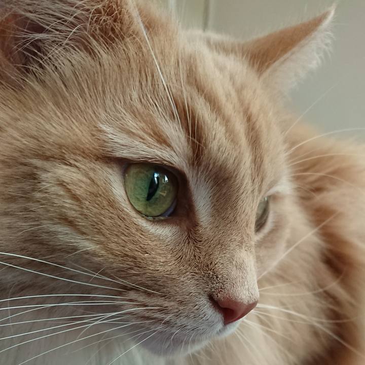 73246032 03b0 4032 a5e1 b41e2c92b03a 1554092736078