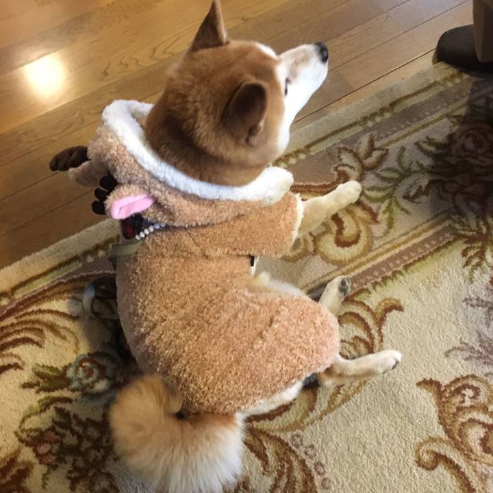 732464e1 6cda 4bb9 86ac 62bae9a30db5 1577158582359