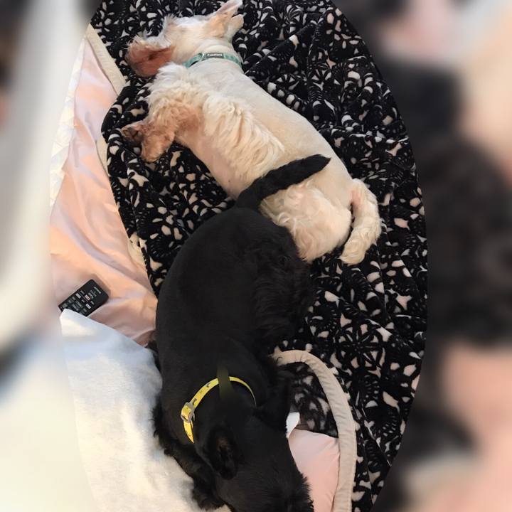 73247c9a 4bc7 45d3 8aad aa61ce7c190a 1570925109528