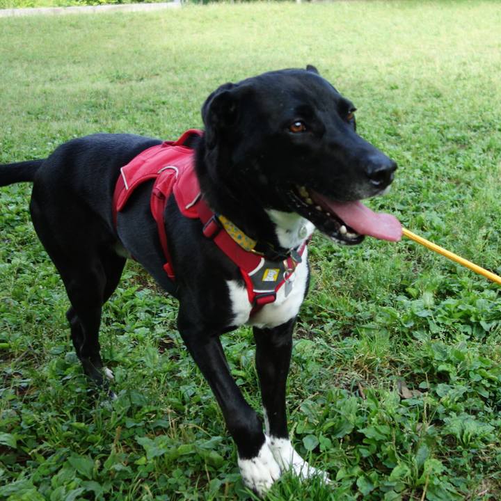 73249325 a9f6 4b3e 87ab 7bb50c01deb5 1591144892599