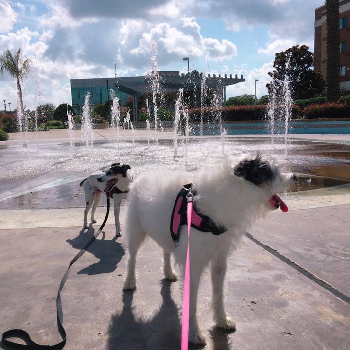 7324a60d faac 4b44 bdc7 325c8c828e37 1564197253330