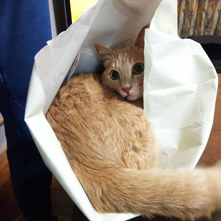 73251061 f9c0 4f67 80f6 a0bfeacc4273 1628591052649