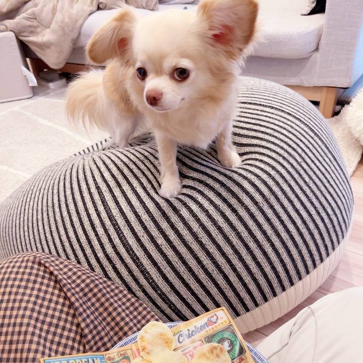 732541f7 a9d5 44e1 ab92 885dc40f869e 1748947808979