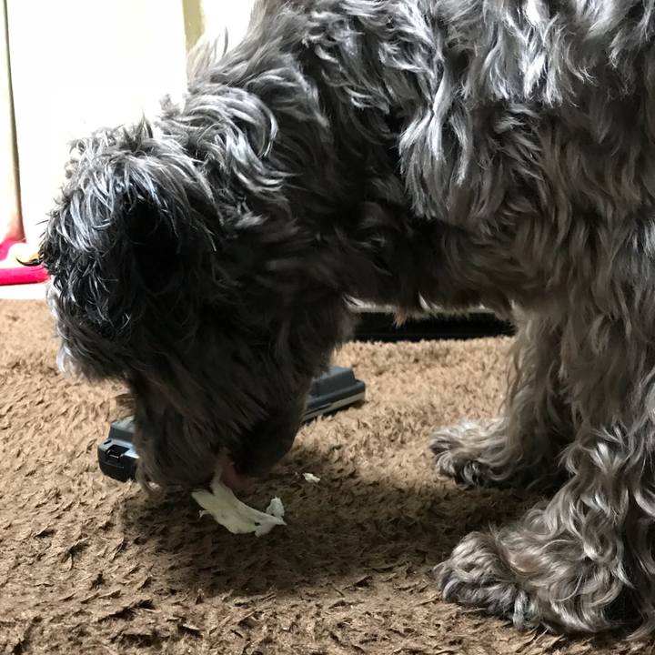 73258577 cf3b 424e 9d1d 8057db6fadda 1517049374531