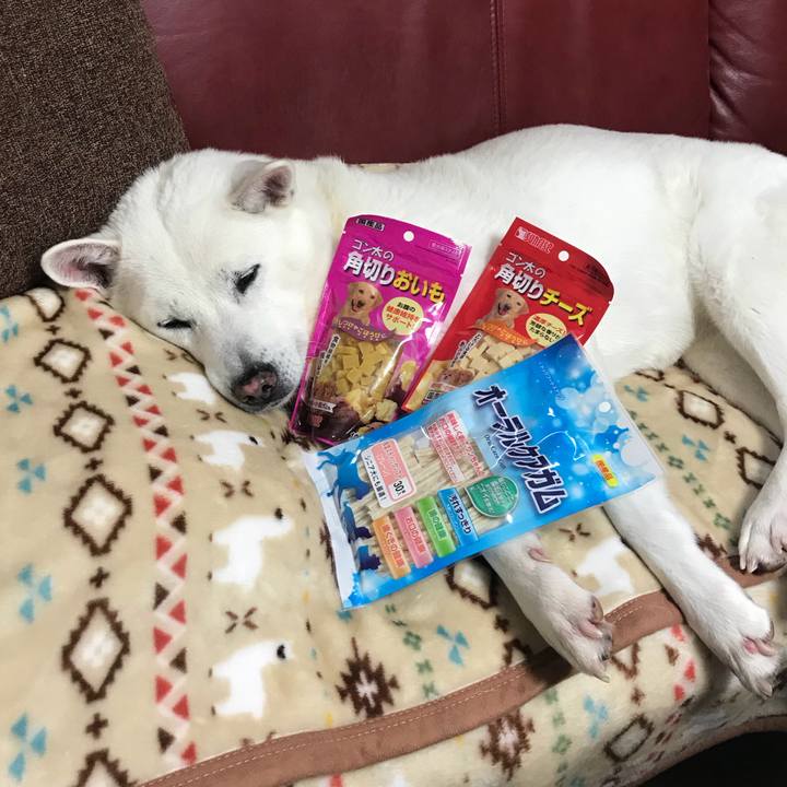 73258b52 155a 4726 8c35 324d649461e4 1512901805764