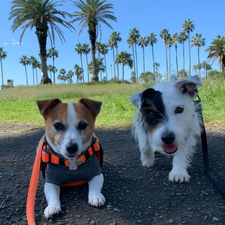 7325c46d e005 499c b9ab 436563446bf0 1633137106241