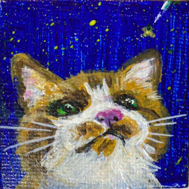 7325c86b 0f04 4e1f 8e28 defc536f5cb8 1734611414801