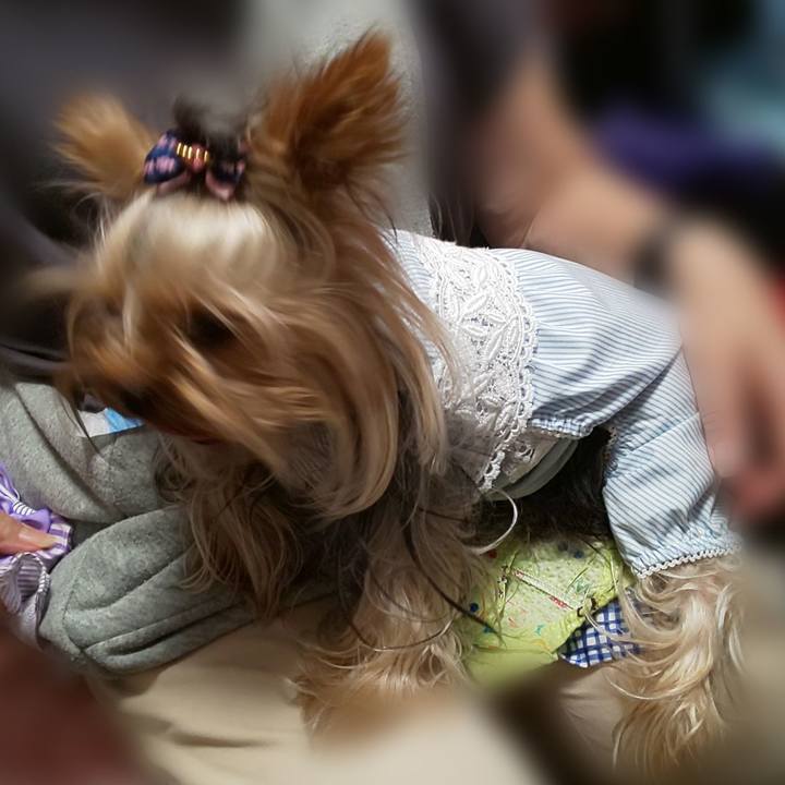 7325e8bf 92d0 4d6d 9ed7 c8e83227ee7a 1625972131140