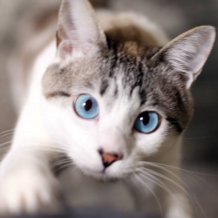 73260f46 d436 41b7 a3e1 ac3cafc7e9e6 1654917590087