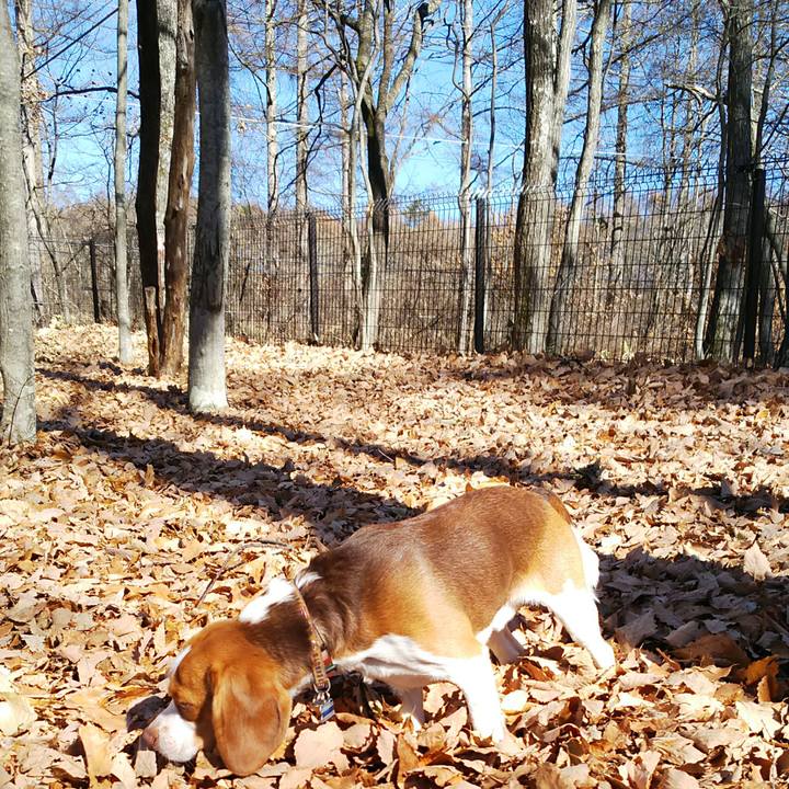 73261d3e 55ad 4633 8963 2531e7b7ce0c 1512393176641