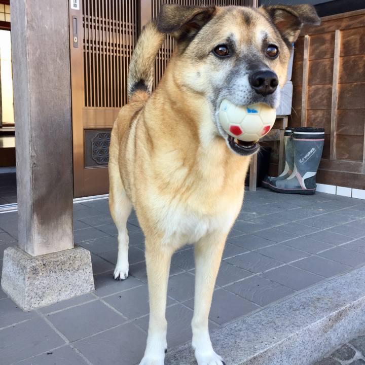 732633d0 f0ea 49cc 8fd5 f14aa9b56d5d 1538524704262