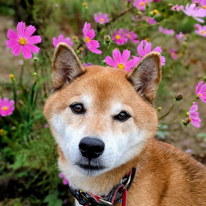 73263449 6ad4 4a15 9c84 fcd6ef890cd6 1760425903156