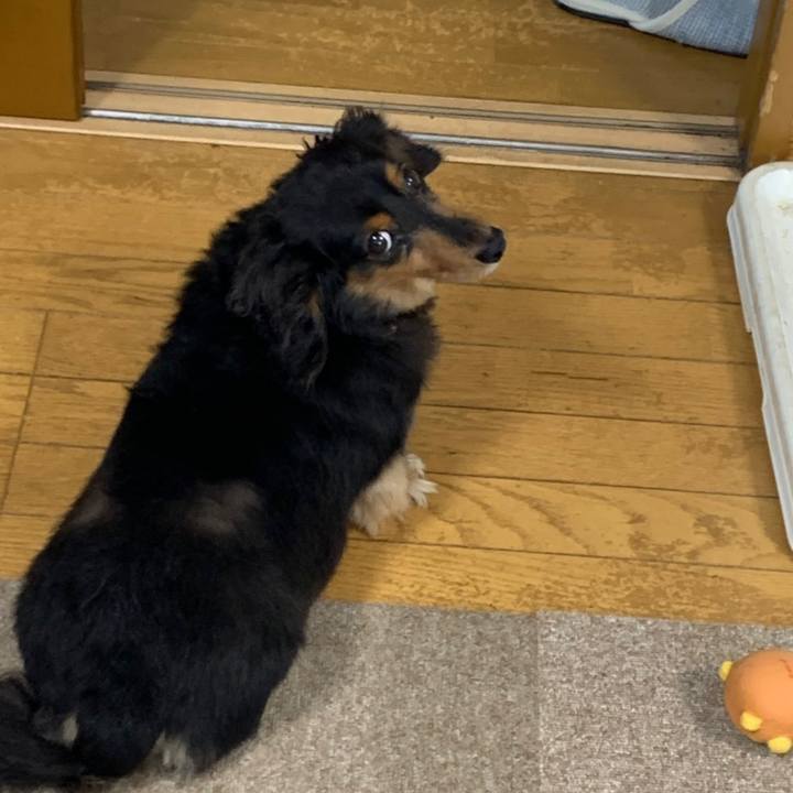 732651dc dc9d 4c1e b10b 29becabf83dc 1567552737578