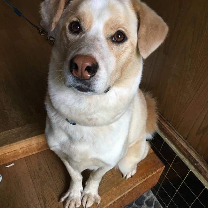 73267973 2d5e 4ea4 8d12 a1ccfb01a83d 1525993780761