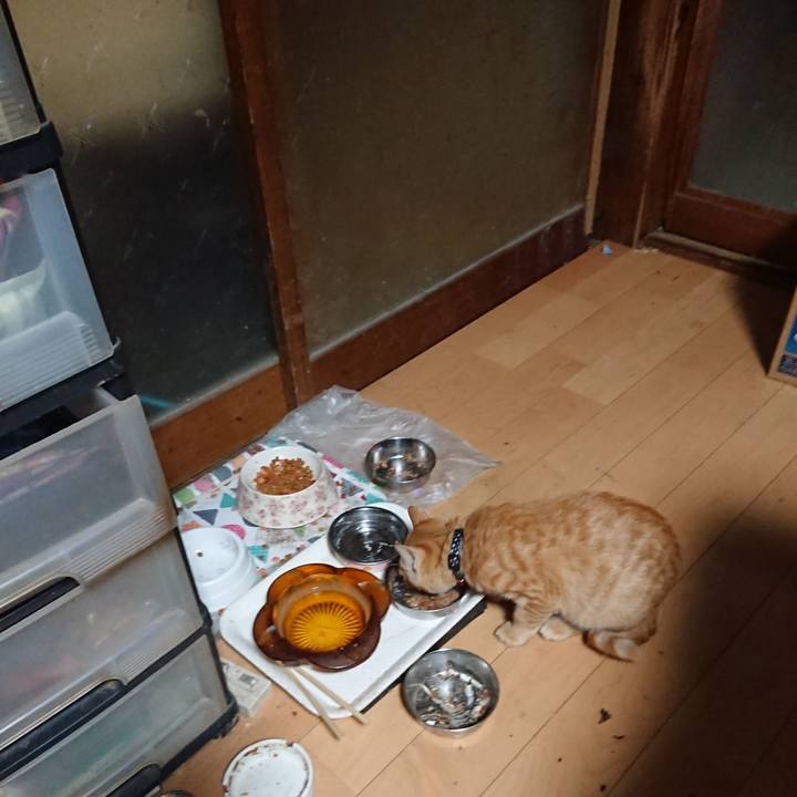 73269e80 db55 4613 b8d1 97bc0b8819eb 1635798715319