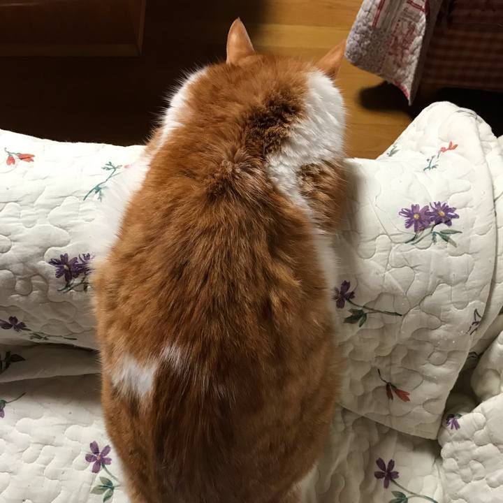 7326b705 4218 464f b617 24bd0ff6ed21 1626692666801