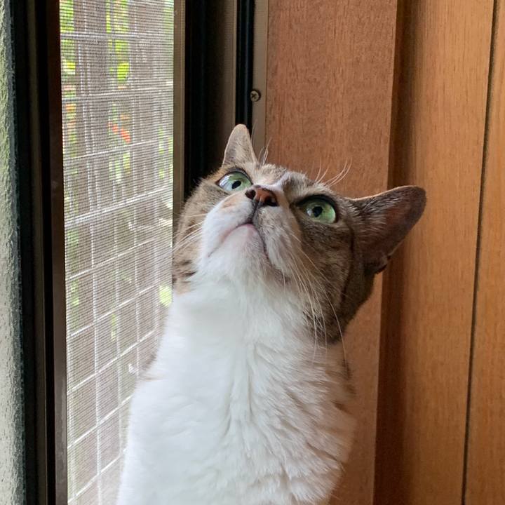 7326b76c dca7 46d1 b57c fdd896a9275b 1593911666138