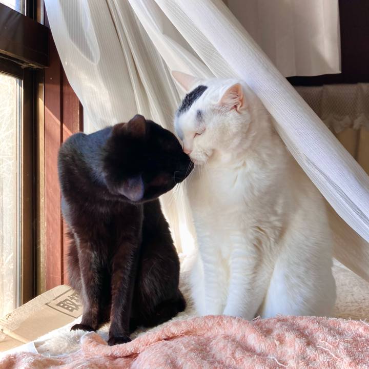 7326c875 ac54 45fc 846f 2ade7389f4e9 1672359140572