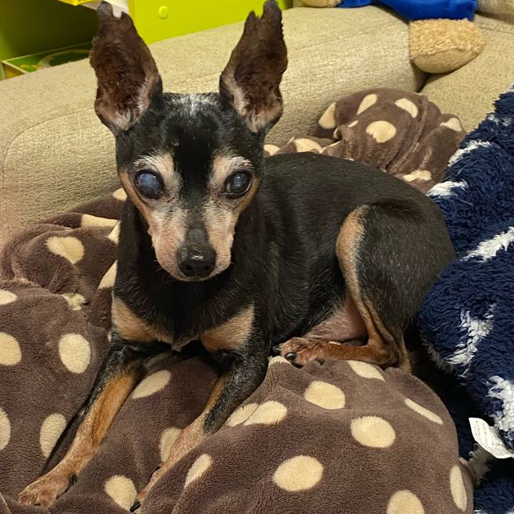 7326c997 36fd 49fc abc5 d50eae1d1a43 1588600675994