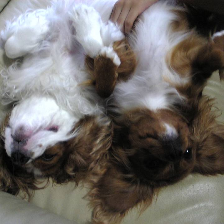 73272f87 ff65 4a25 ad96 912f02aacda9 1558740358285